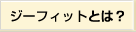 ジーフィットとは？